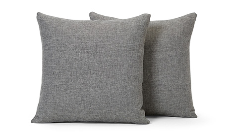 Decorative Knife Edge Pillows 22 x 22 (Set of 2)